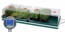 Propagator elektryczny Jumbo podgrzewany z kontrolerem do regulacji temperatury Garland