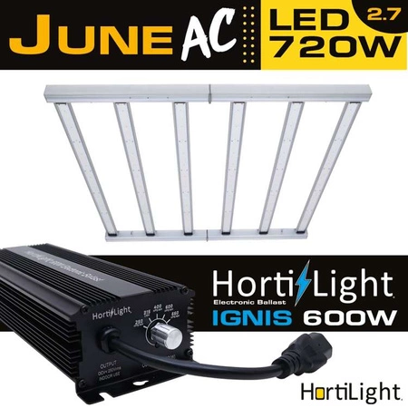 Lampa LED HortiLight June 720W 2.7 µmol/J 6x LED BAR Dimmable z zasilaczem Hortilight Ignis